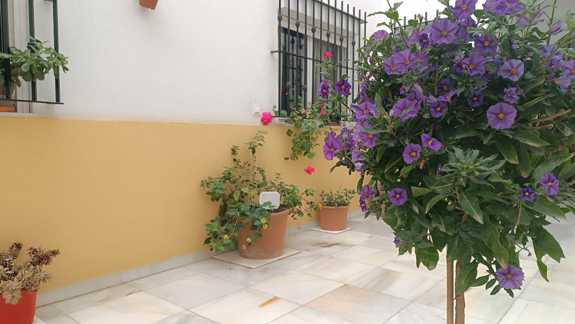 Sherryflat Fontana Jerez de la Frontera Ngoại thất bức ảnh